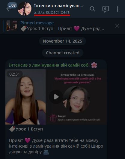 Telegram-канал інтенсиву з ламінування вій: 2872 учасниці